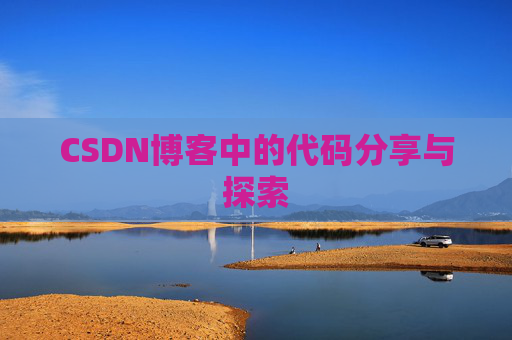 CSDN博客中的代码分享与探索